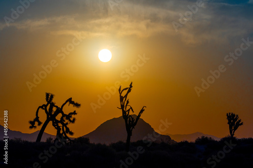 Mojave Desert Sunrise with mountains and Joshua trees