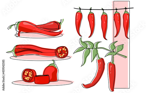 Set of chili pepper hanging and cut as a food ingredient on white background. Red pepper on a branch, a pod in a section, ground paprika, slices of chopped. Flat cartoon vector illustration