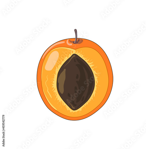 Half orange apricot with stone in cartoon style. Stock vector illustration isolated on a white background.