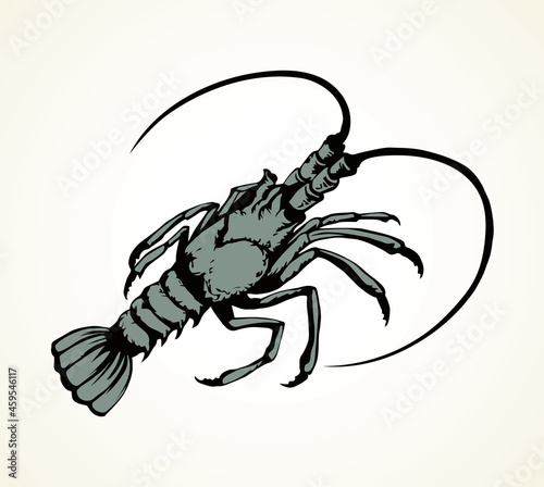 Lobster. Vector drawing