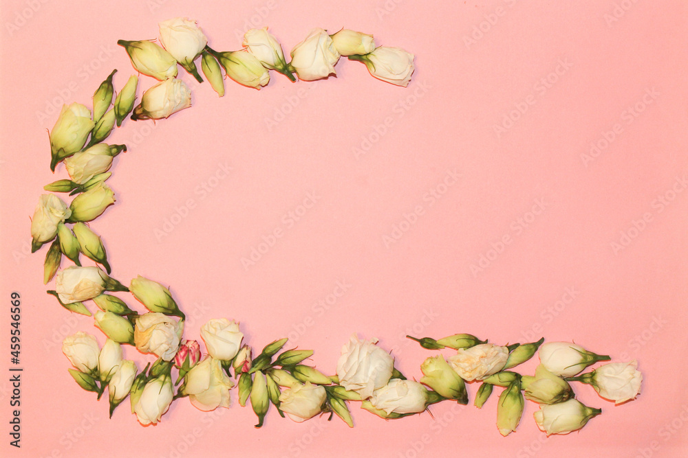 eustoma flowers spread out on a pink background, copy space
