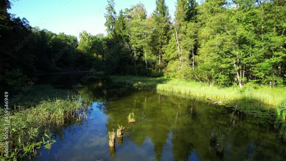 Slow drone flight low over the water. Narrow and shallow river surrounded by lush and wild forest. Grass and reeds on the river bank. View from the drone in a sunny day. Low flight over the water. Slow drone flight low over the water. Narrow and shallow river surrounded by lush and wild forest. Grass and reeds on the river bank. View from the drone in a sunny day. Low flight over the water.