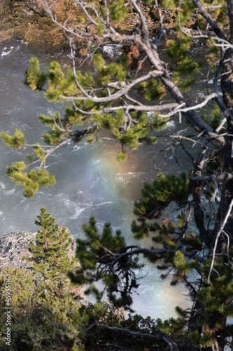 waterfall in the forest
