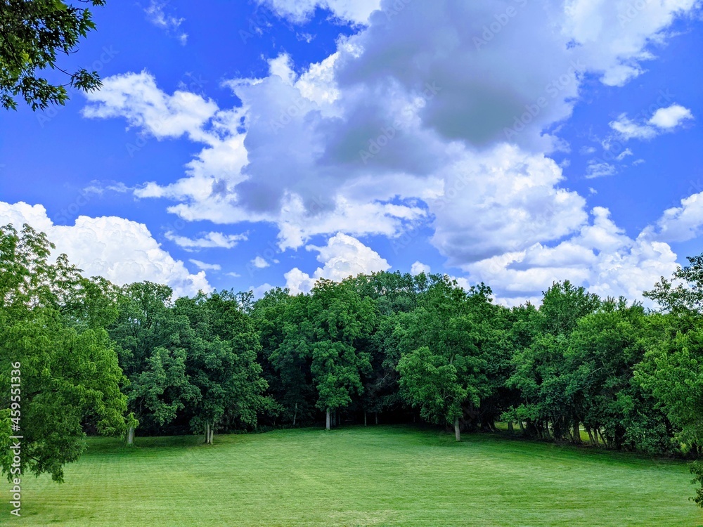 landscape with trees and clouds