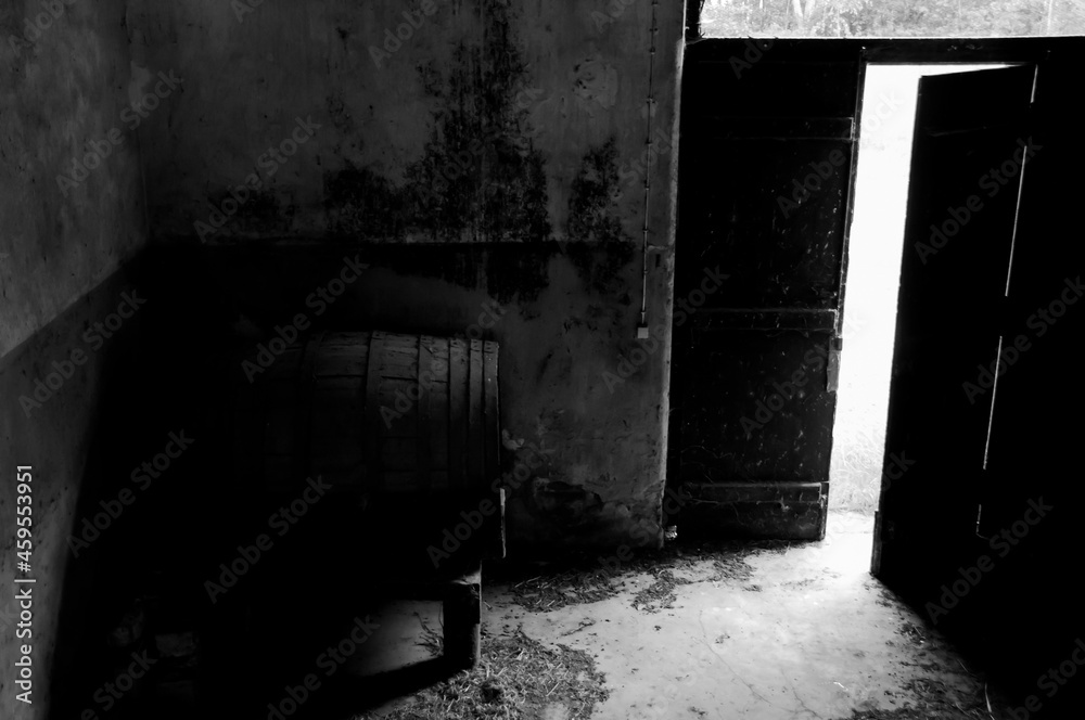 Obraz premium Light entering an abandoned and ruined house, in black and white 