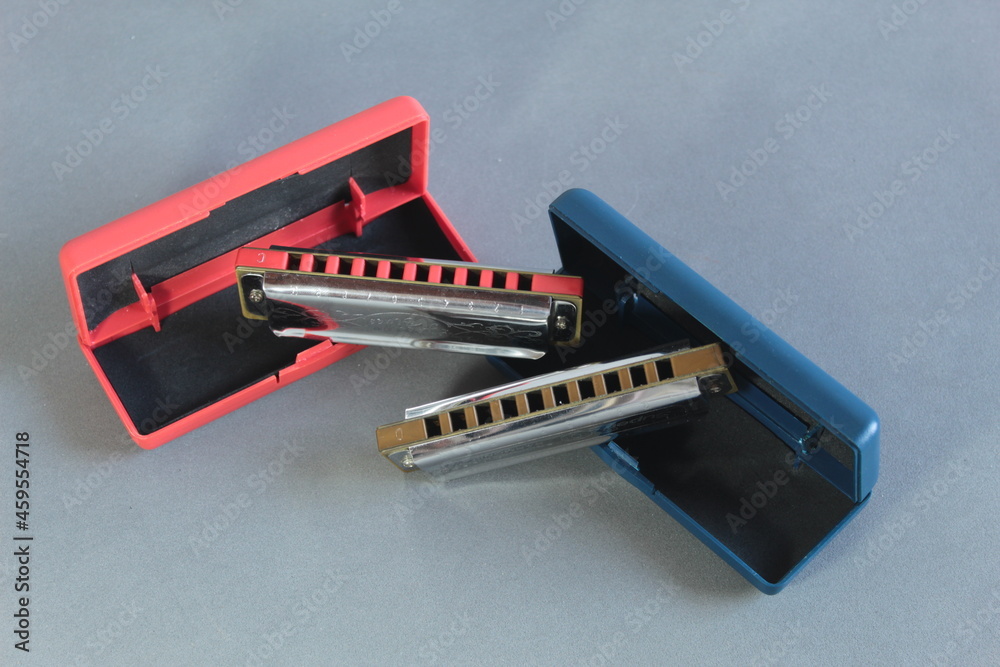 two harmonicas near the cases two harmonicas near the cases