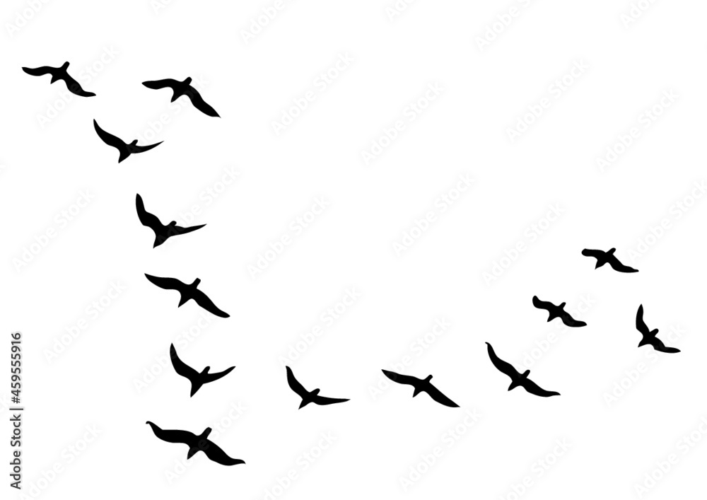 oiseau en formation en V