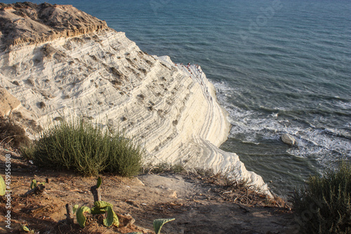 Scala dei Turchi, Stair of the Turks, in Sicily Italy. The rock formation in the sun with bush in foreground. The place  is a rocky cliff on the coast of Realmonte, near Porto Empedocle, Italy.