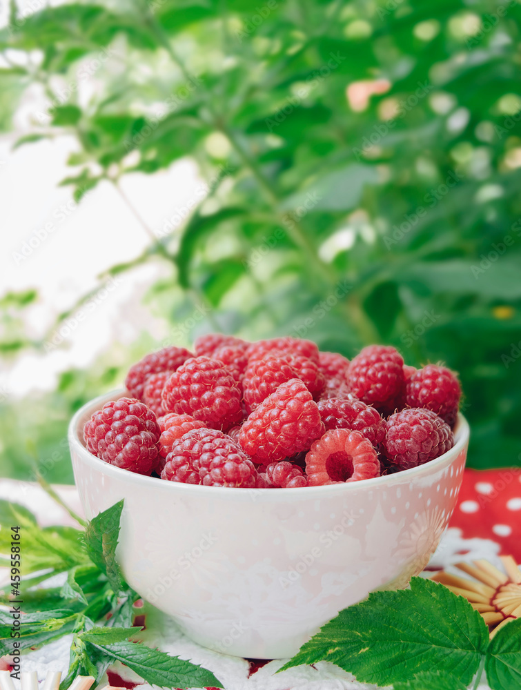 Raspberries in the garden.Fresh organic raspberries .Healthy eating, diet . Selective focus. Raspberries in the garden.Fresh organic raspberries .Healthy eating, diet . Selective focus.