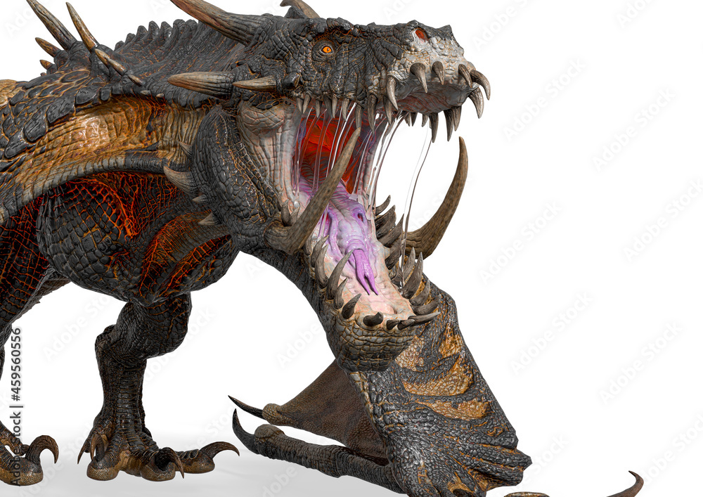 Fototapeta premium magic dragon in white background