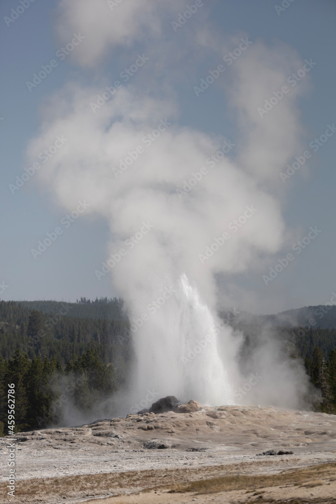 faithful geyser