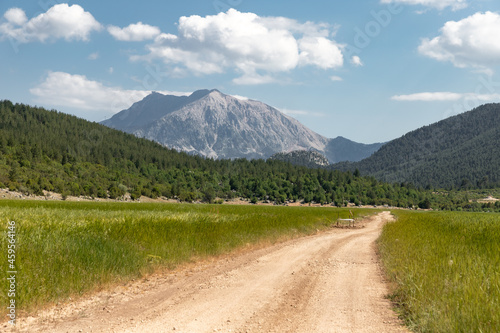 Mounth Tahtali seems between wheat field