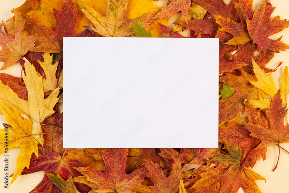 white blank card on the autumn background with fallen leaves. mock-up 