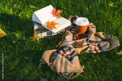 Autumn composition on green grass in park. Warm brown scarf. Orange cardboard cup of coffee. Maple leaves. Opened notebok with blank pages. photo