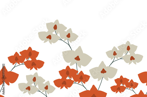 Orchid seamless background
