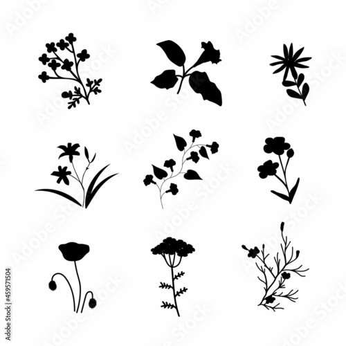 Vector plants set