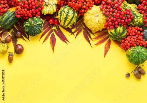 Autumn background with pumpkins, rowanberry, and colorful leaves on a bright yellow backdrop. Happy Thanksgiving and harvest concept. Copy space