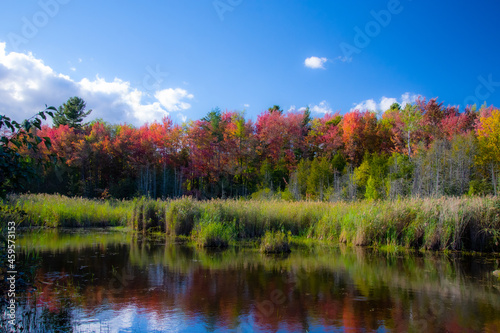 Fall colors in the Canadian forest with lake in the province of Quebec
