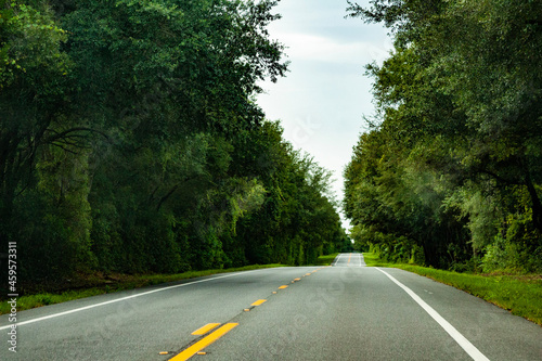 road in the forest