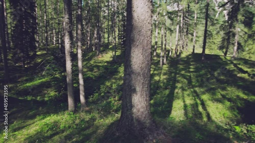 Immersing in the Alpine Wilderness: A Nature Lover's Dream