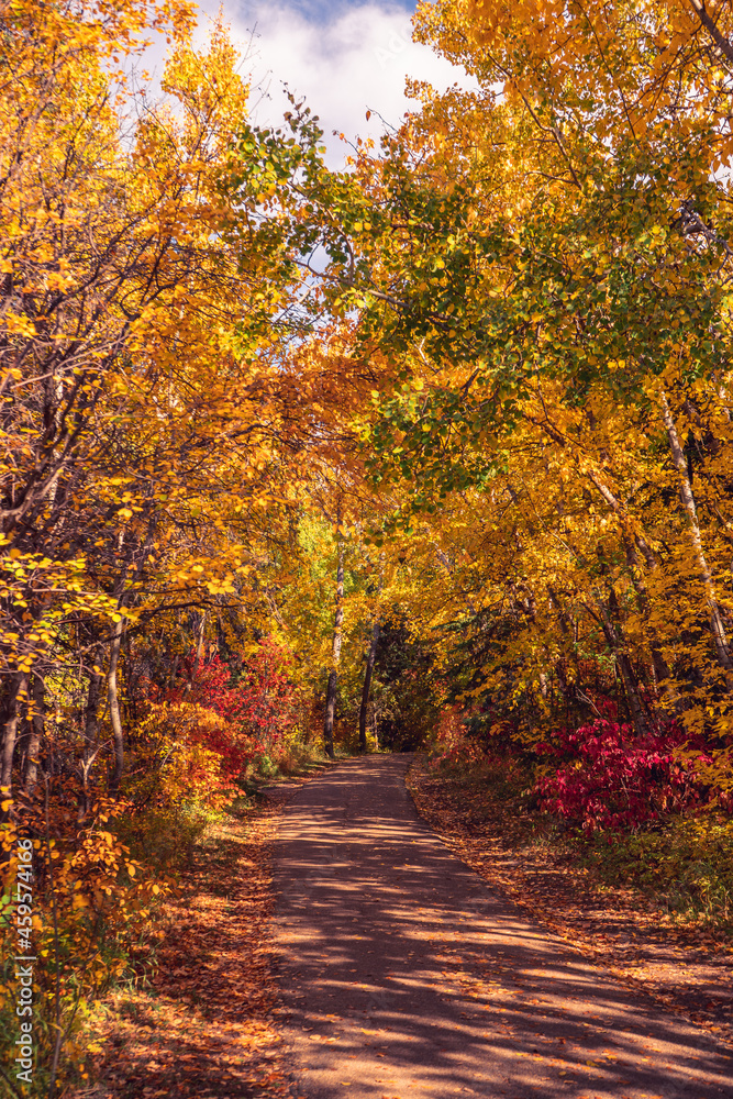 Obraz premium Edmonton River Valley Pathway North Saskatchewan River