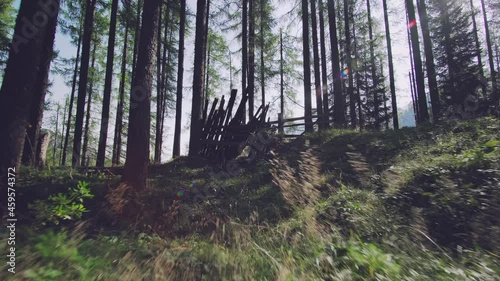 Exploring the Alpine Wilderness: An Adventure of a Lifetime