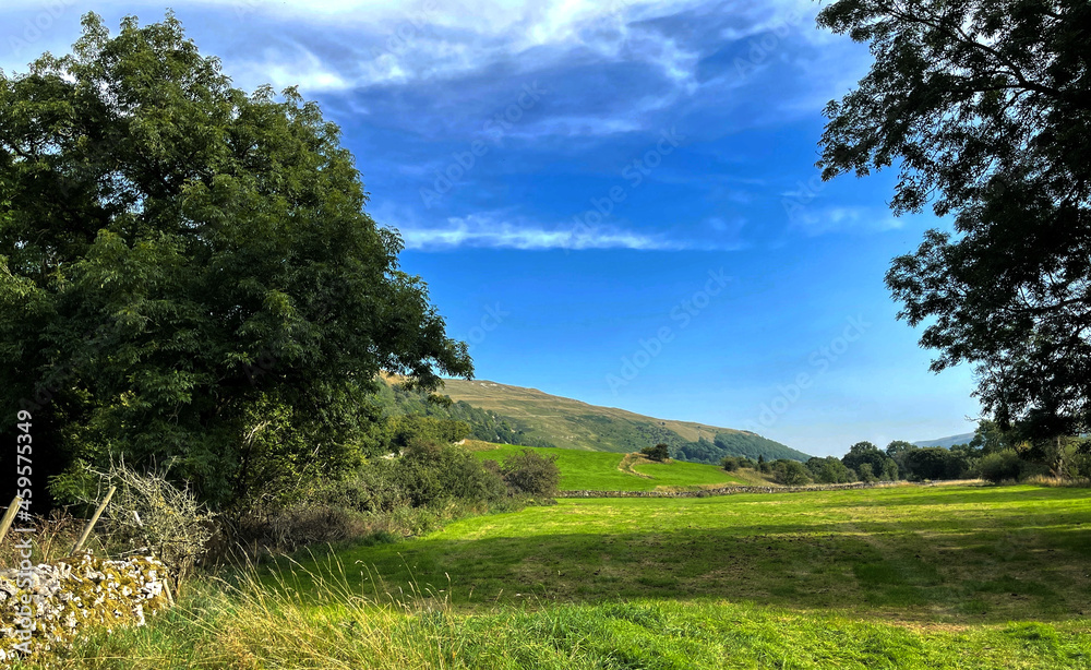 Yorkshire Dales landscape, with dry stone walls, trees, and fields near, Hubberholme, Skipton, UK