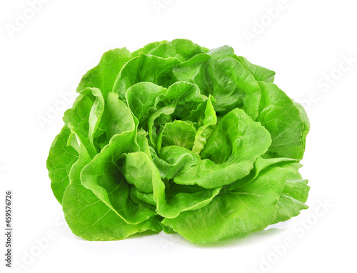 Obraz na płótnie Green butterhead lettuce isolated on white background.