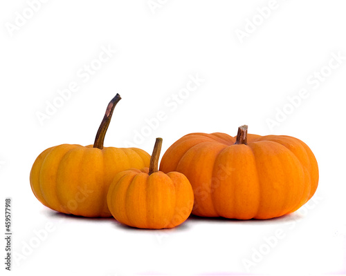 A Group of Three Small Pumpkins on a White Background