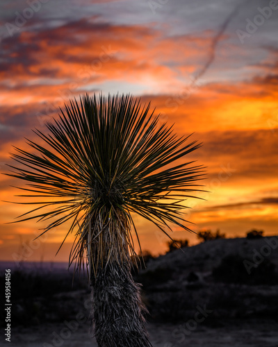 Sunset near Carlsbad