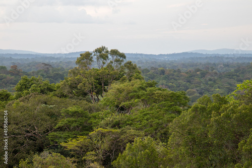 Savane Roche Virginie