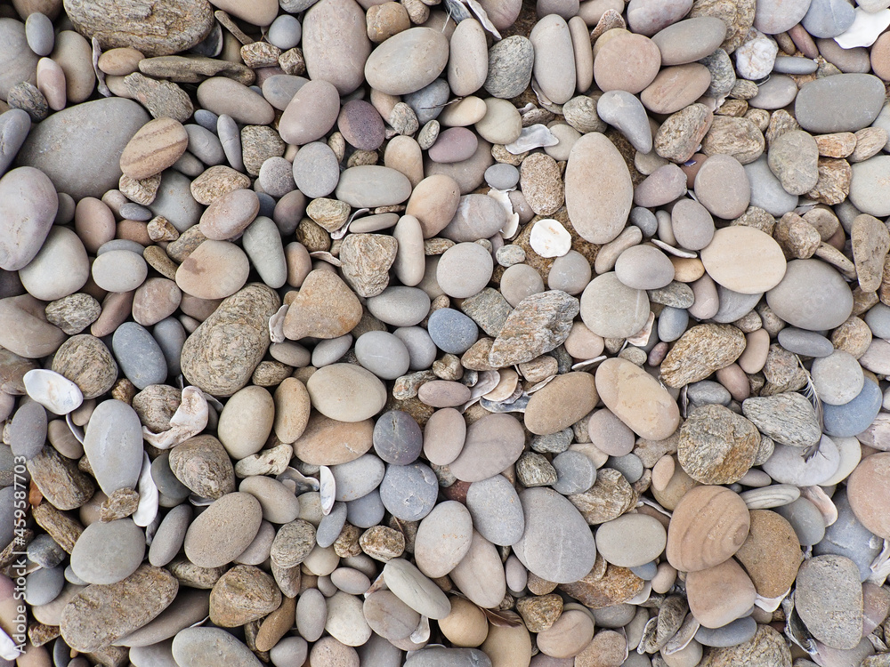 Variegated Smooth Coastal Beach Rocks And Pebbles Variegated Smooth Coastal Beach Rocks And Pebbles