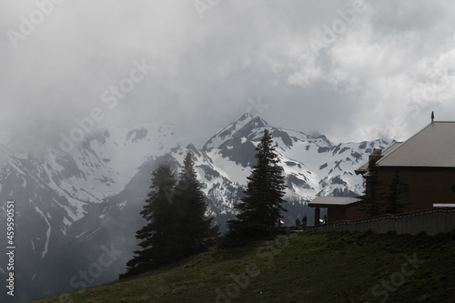 Snow capped mountain view with low clouds, fog and evergreen trees next to the visitors center in Olympic National Park Washington Pacific Northwest