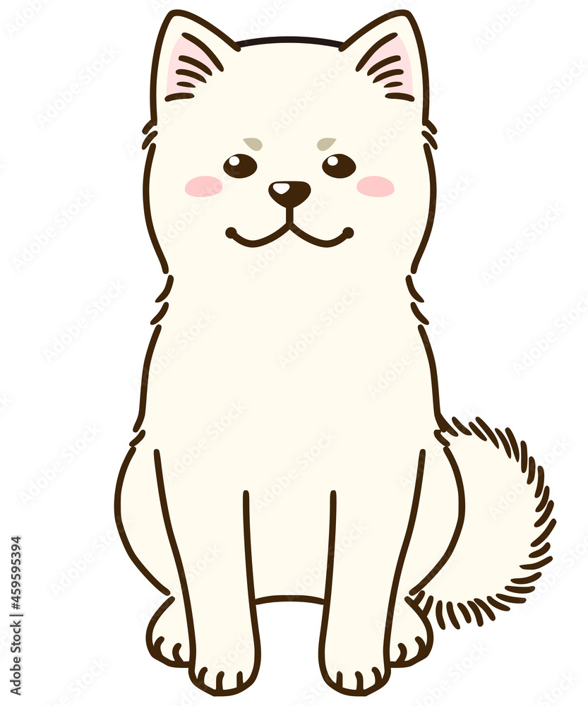 秋田犬(白) 秋田犬(白)