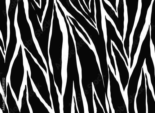 zebra pattern. Animals nature background