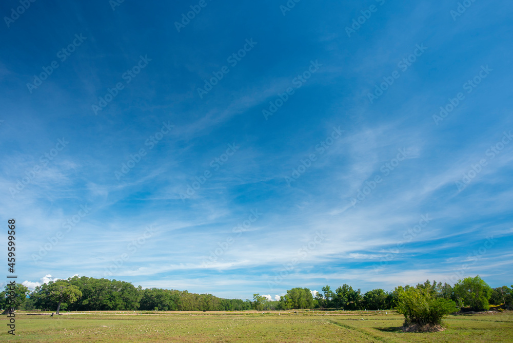 field and blue sky field and blue sky