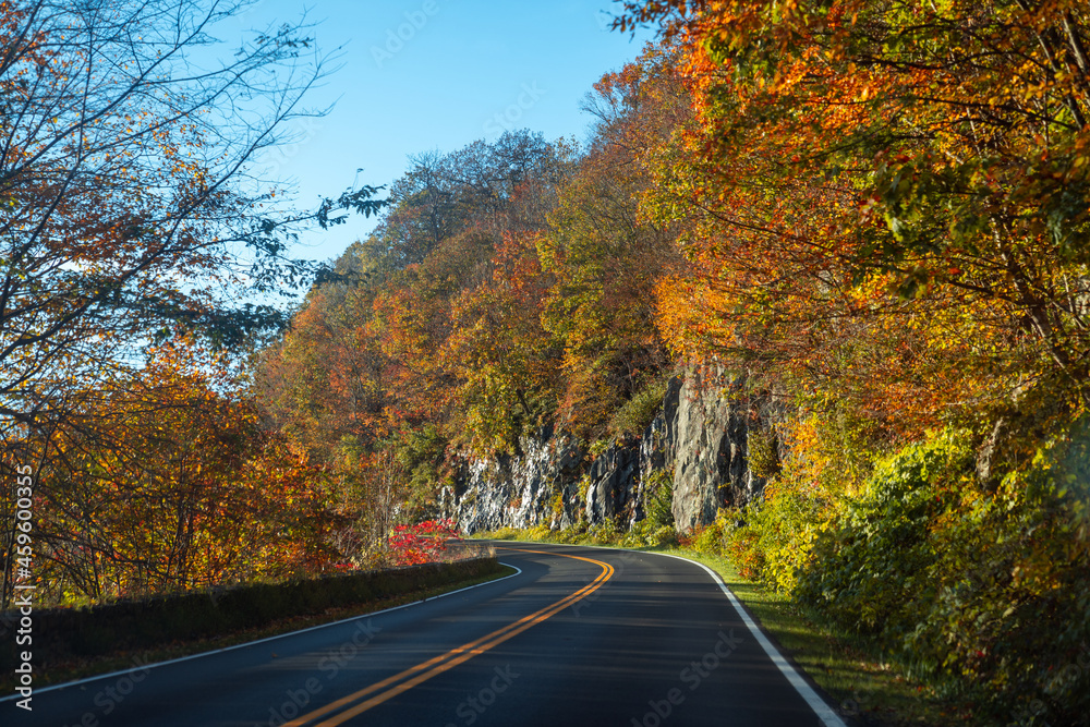 Fall Road Trip 