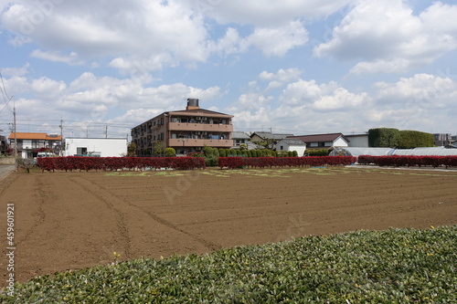 ５月の爽やかな日本の郊外