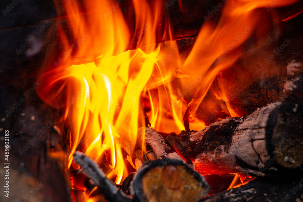 bonfire made of pine sticks and branches is burning with bright orange warm warming flame with shining sparks, in open forest in nature for camping. bonfire made of pine sticks and branches is burning with bright orange warm warming flame with shining sparks, in open forest in nature for camping.