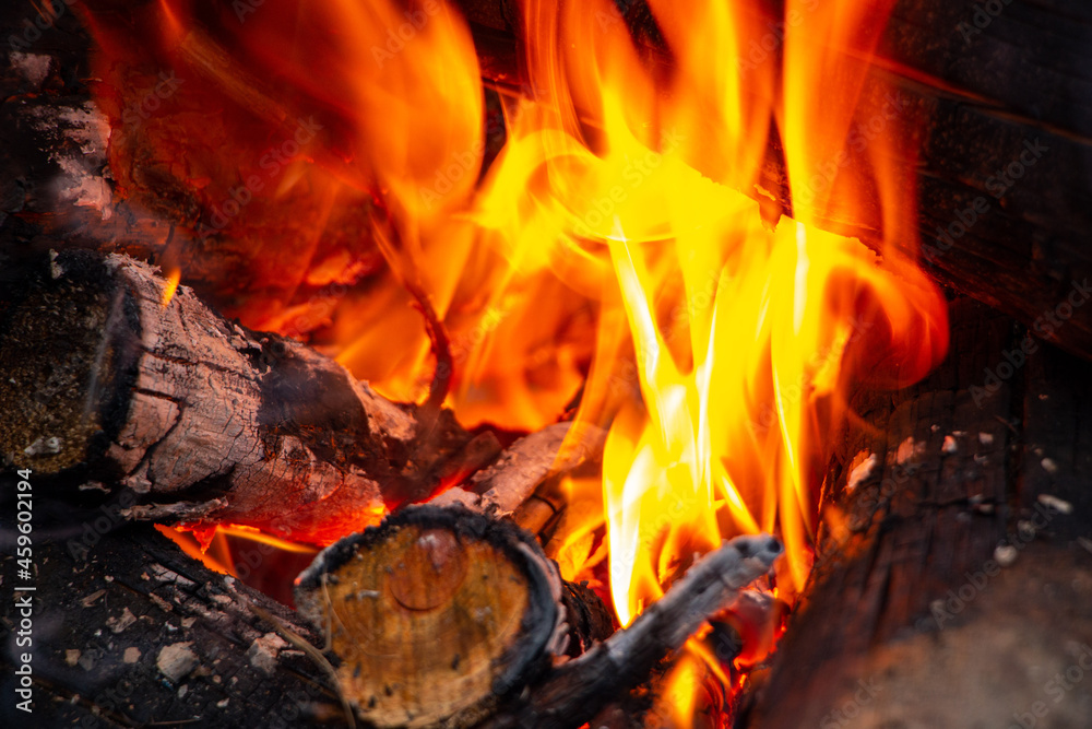 bonfire made of pine sticks and branches is burning with bright orange warm warming flame with shining sparks, in open forest in nature for camping. bonfire made of pine sticks and branches is burning with bright orange warm warming flame with shining sparks, in open forest in nature for camping.