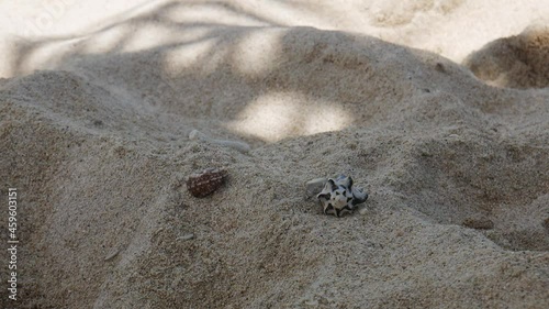Two walking shells with crabs on a white sand beach the tropical Island Lombok near Bali, Indonesia. Steady shot for wildlife documentary, travel and tourism videos. Funny crab race. photo