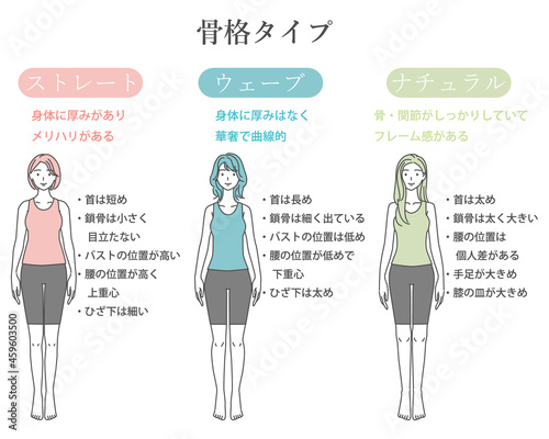 骨格診断　線画イラスト　3タイプ　正面　