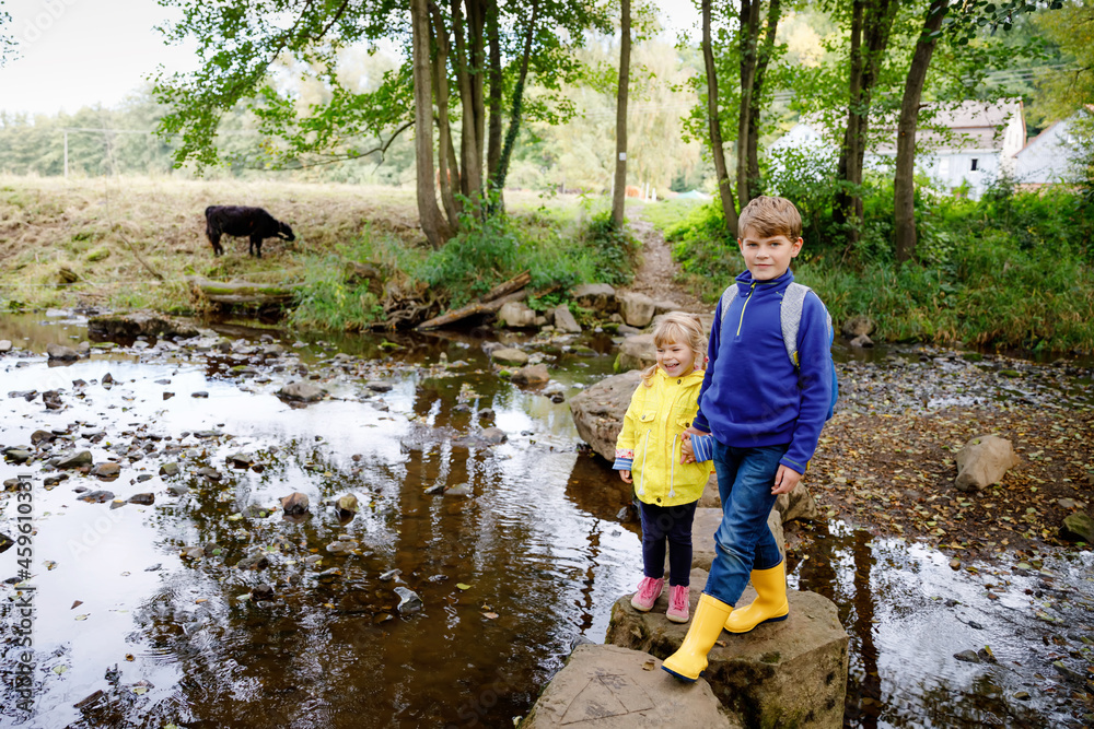 Two little children hiking in forest. Kid boy and toddler girl passing creek. Happy healthy kids having fun in nature, spending family vacations, outdoors on autumn or summer day Two little children hiking in forest. Kid boy and toddler girl passing creek. Happy healthy kids having fun in nature, spending family vacations, outdoors on autumn or summer day