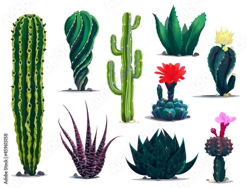 Mexican cactuses, cartoon prickly succulent plants with flowers and blossoms. Vector set of desert cacti with spikes and blooming blossoms. Tropical mexican cactuses isolated on white
