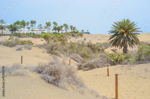 The Maspalomas Dunes are sand dunes located on the south coast of the island of Gran Canaria © Delia_Suvari