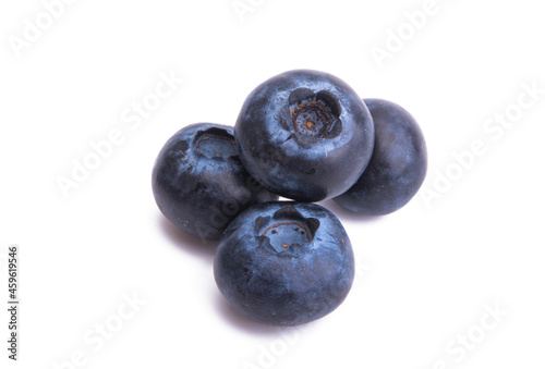 blueberry isolated