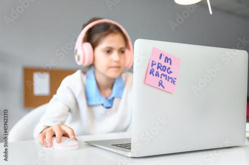 Little programmer working w...