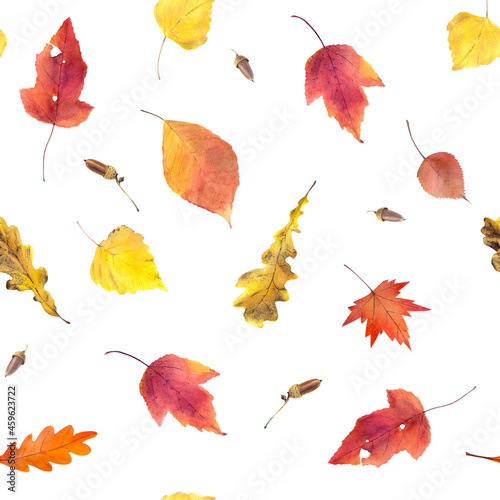 Watercolor seamless pattern with bright autumn leaves isolated on white background. Forest or garden birch  maple  oak leaves  acorns. Wrapping paper  wallpaper.