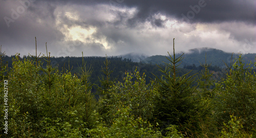Storm clouds over the forest in the mountains