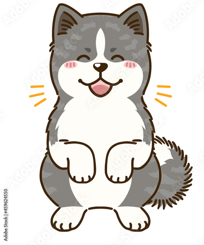 喜ぶ秋田犬（虎毛）